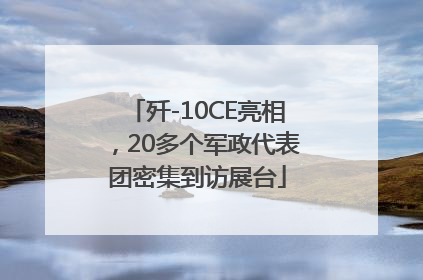 歼-10CE亮相，20多个军政代表团密集到访展台