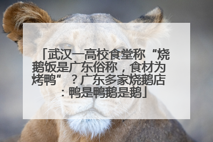 武汉一高校食堂称“烧鹅饭是广东俗称，食材为烤鸭”？广东多家烧鹅店：鸭是鸭鹅是鹅