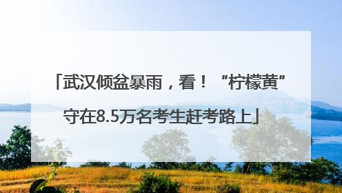 武汉倾盆暴雨，看！“柠檬黄”守在8.5万名考生赶考路上