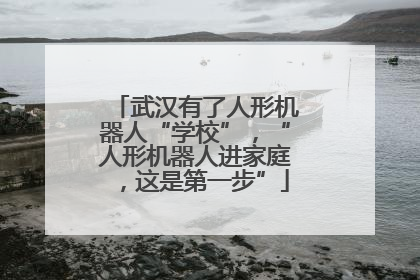 武汉有了人形机器人“学校”，“人形机器人进家庭，这是第一步”