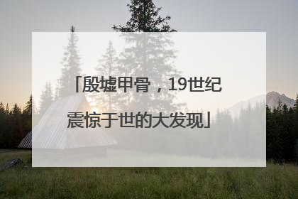 殷墟甲骨，19世纪震惊于世的大发现