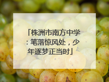 株洲市南方中学：笔落惊风处，少年逐梦正当时