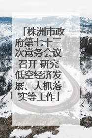 株洲市政府第七十三次常务会议召开 研究低空经济发展、大抓落实等工作