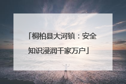 桐柏县大河镇：安全知识浸润千家万户