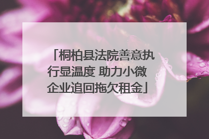 桐柏县法院善意执行显温度 助力小微企业追回拖欠租金