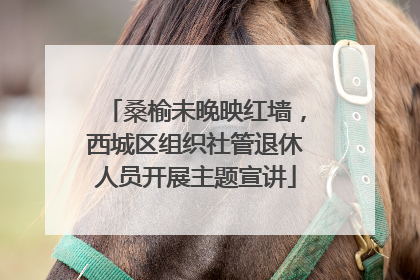 桑榆未晚映红墙，西城区组织社管退休人员开展主题宣讲