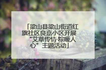梁山县梁山街道红旗社区良嘉小区开展“艾草传情·粽暖人心”主题活动