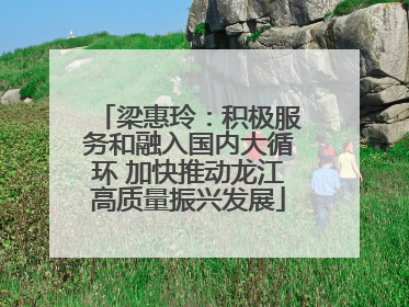 梁惠玲：积极服务和融入国内大循环 加快推动龙江高质量振兴发展