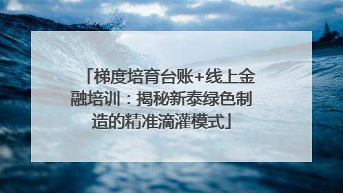 梯度培育台账+线上金融培训：揭秘新泰绿色制造的精准滴灌模式