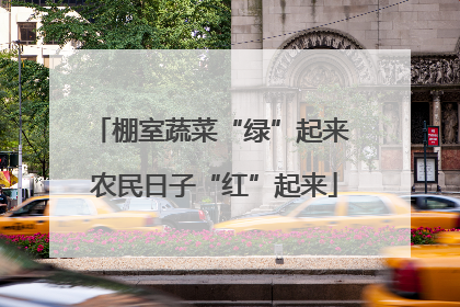 棚室蔬菜“绿”起来 农民日子“红”起来