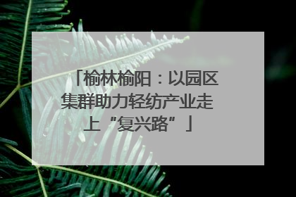 榆林榆阳：以园区集群助力轻纺产业走上“复兴路”