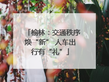 榆林：交通秩序焕“新” 人车出行有“礼”