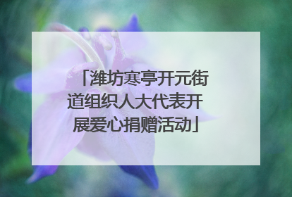 潍坊寒亭开元街道组织人大代表开展爱心捐赠活动