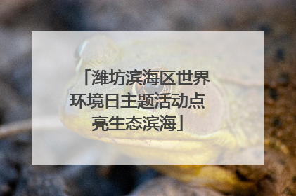 潍坊滨海区世界环境日主题活动点亮生态滨海