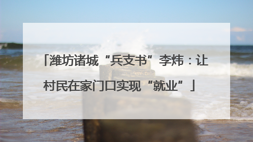 潍坊诸城“兵支书”李炜：让村民在家门口实现“就业”