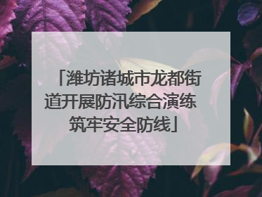 潍坊诸城市龙都街道开展防汛综合演练 筑牢安全防线