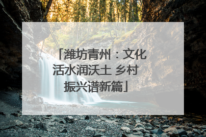 潍坊青州：文化活水润沃土 乡村振兴谱新篇