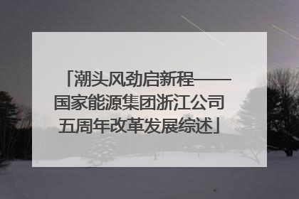 潮头风劲启新程——国家能源集团浙江公司五周年改革发展综述
