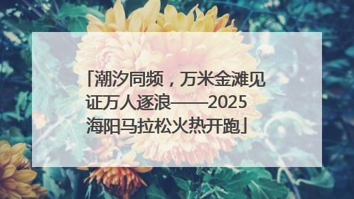 潮汐同频，万米金滩见证万人逐浪——2025海阳马拉松火热开跑