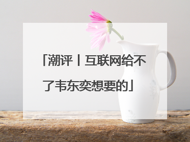 潮评丨互联网给不了韦东奕想要的