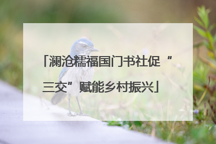 澜沧糯福国门书社促“三交”赋能乡村振兴