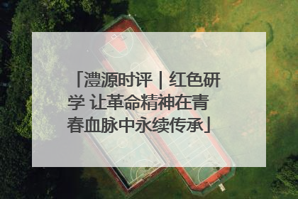 澧源时评｜红色研学 让革命精神在青春血脉中永续传承