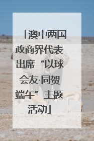澳中两国政商界代表出席“以球会友·同贺端午”主题活动