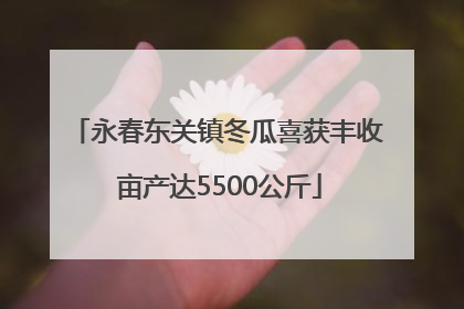 永春东关镇冬瓜喜获丰收 亩产达5500公斤