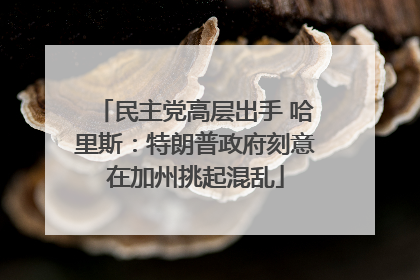 民主党高层出手 哈里斯：特朗普政府刻意在加州挑起混乱
