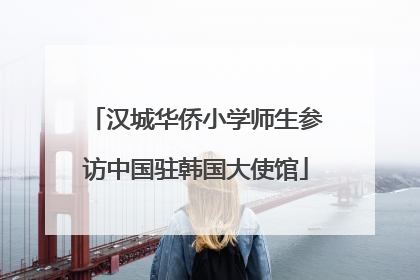 汉城华侨小学师生参访中国驻韩国大使馆