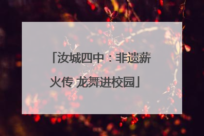 汝城四中：非遗薪火传 龙舞进校园