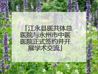 江永县医共体总医院与永州市中医医院正式签约并开展学术交流