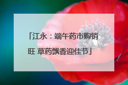 江永：端午药市购销旺 草药飘香迎佳节
