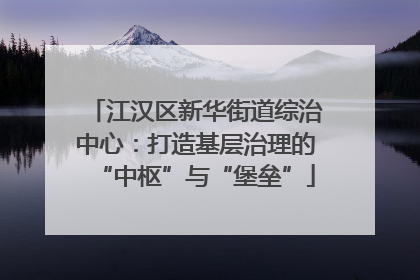 江汉区新华街道综治中心：打造基层治理的“中枢”与“堡垒”