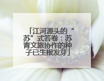 江河源头的“苏”式答卷：苏青文旅协作的种子已生根发芽