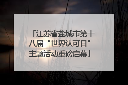江苏省盐城市第十八届“世界认可日”主题活动重磅启幕