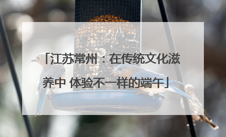 江苏常州：在传统文化滋养中 体验不一样的端午