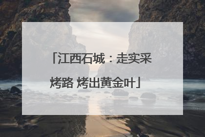 江西石城：走实采烤路 烤出黄金叶