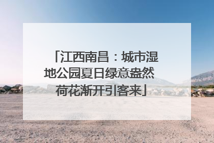 江西南昌：城市湿地公园夏日绿意盎然 荷花渐开引客来