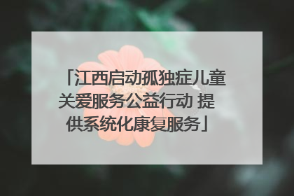 江西启动孤独症儿童关爱服务公益行动 提供系统化康复服务