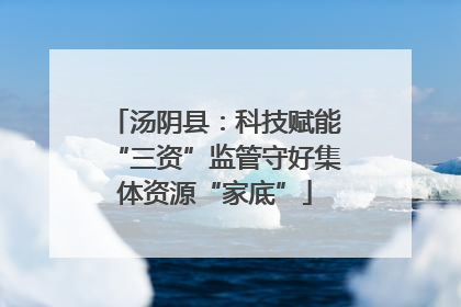 汤阴县：科技赋能“三资”监管守好集体资源“家底”