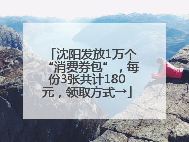 沈阳发放1万个“消费券包”，每份3张共计180元，领取方式→