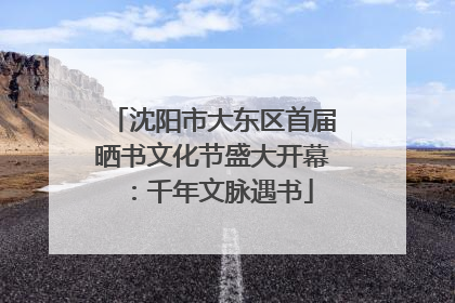 沈阳市大东区首届晒书文化节盛大开幕：千年文脉遇书