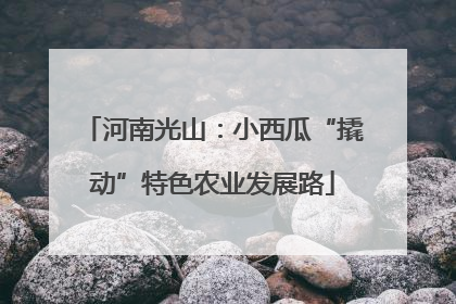 河南光山：小西瓜“撬动”特色农业发展路
