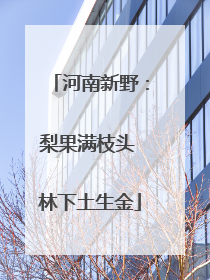 河南新野：梨果满枝头 林下土生金
