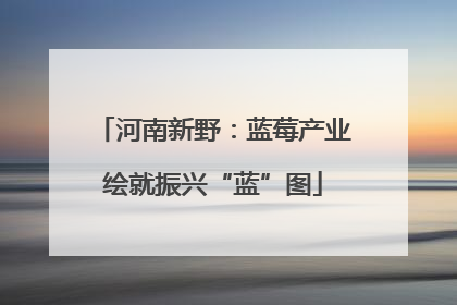 河南新野：蓝莓产业绘就振兴“蓝”图