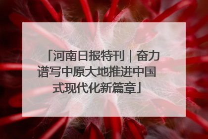 河南日报特刊｜奋力谱写中原大地推进中国式现代化新篇章