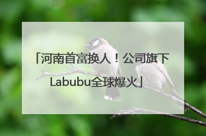 河南首富换人！公司旗下Labubu全球爆火
