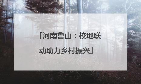 河南鲁山：校地联动助力乡村振兴