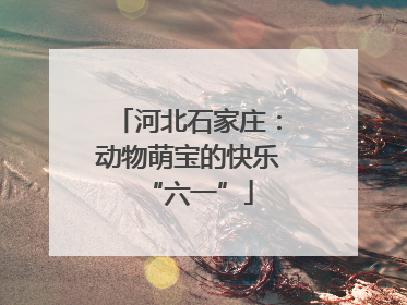 河北石家庄：动物萌宝的快乐“六一”